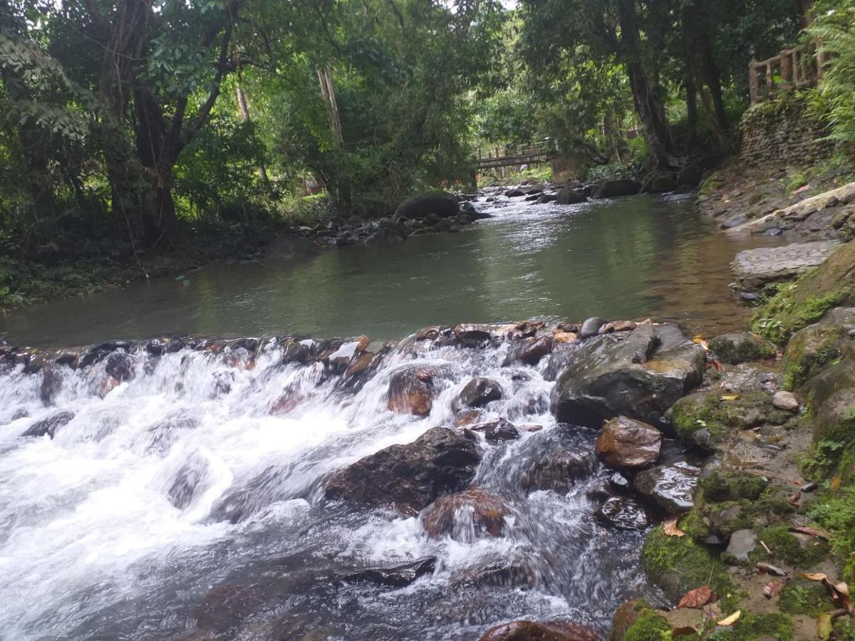 树顶河小屋度假村 2* Khao Sok National Park