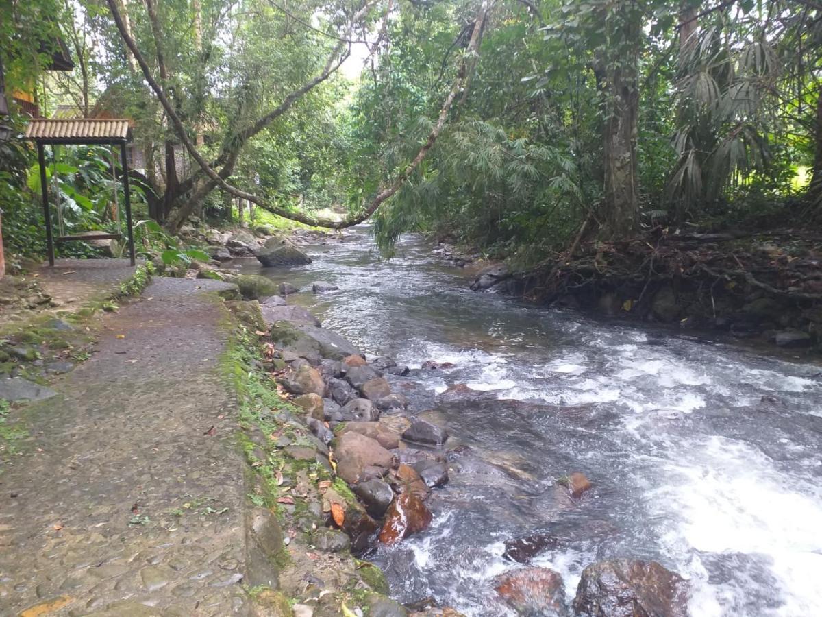 树顶河小屋度假村 度假村 Khao Sok National Park