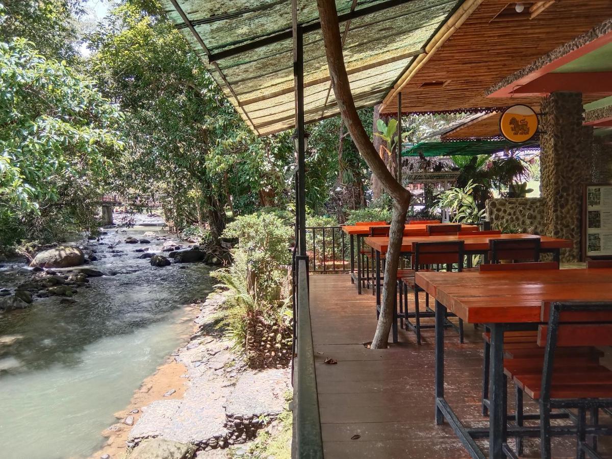 Курортный комплекс Tree Tops River Huts 2*