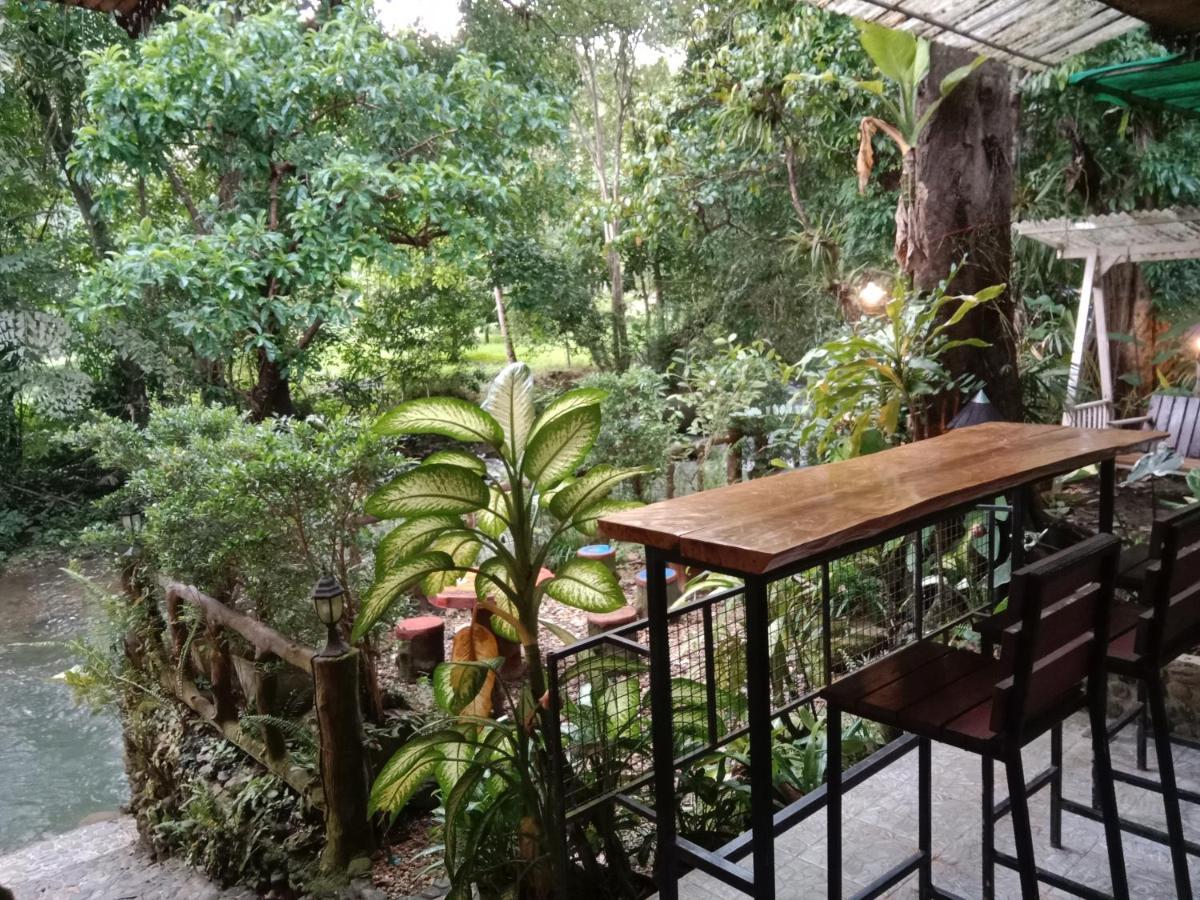 度假村 树顶河小屋度假村
