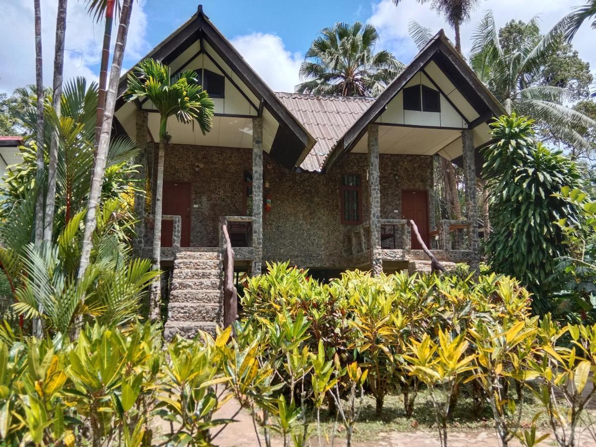 树顶河小屋度假村