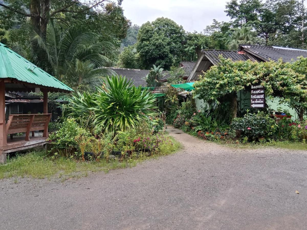 度假村 树顶河小屋度假村