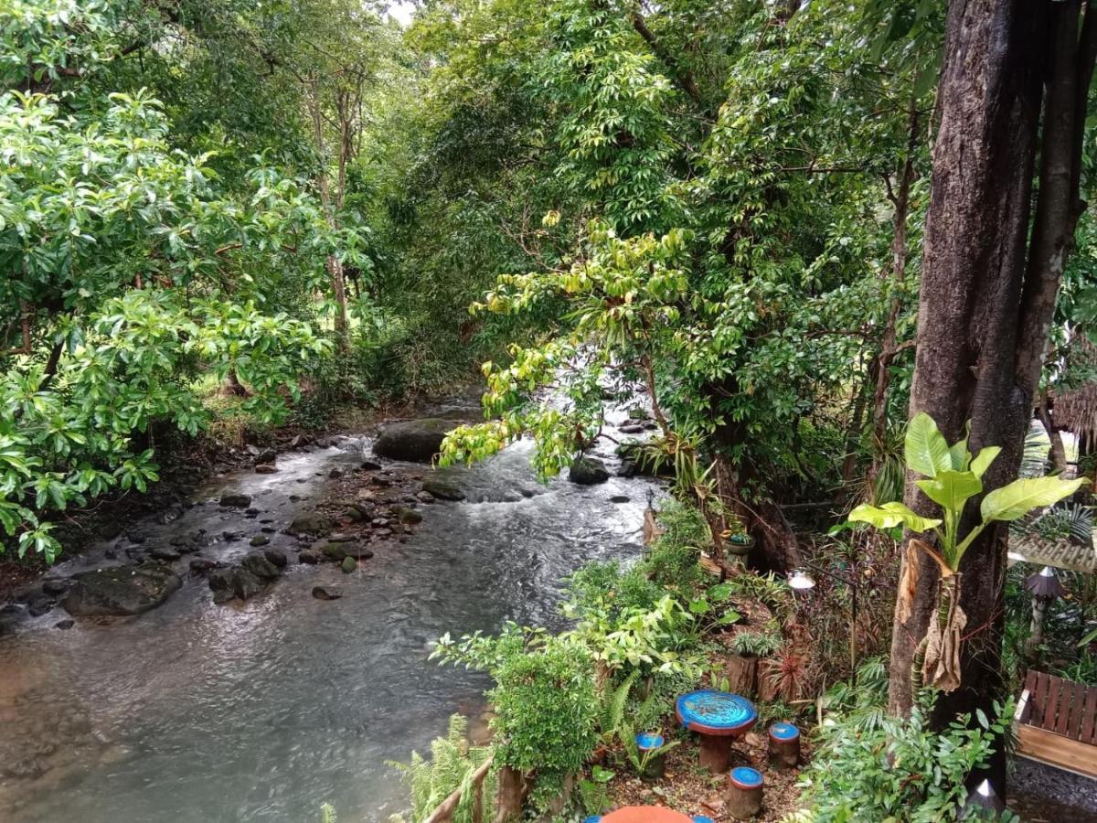 树顶河小屋度假村