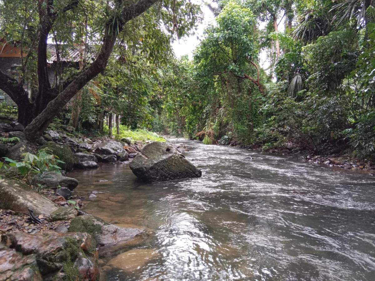 度假村 树顶河小屋度假村