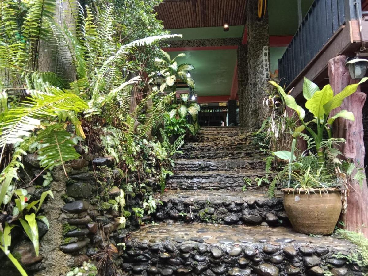 树顶河小屋度假村 度假村 Khao Sok National Park
