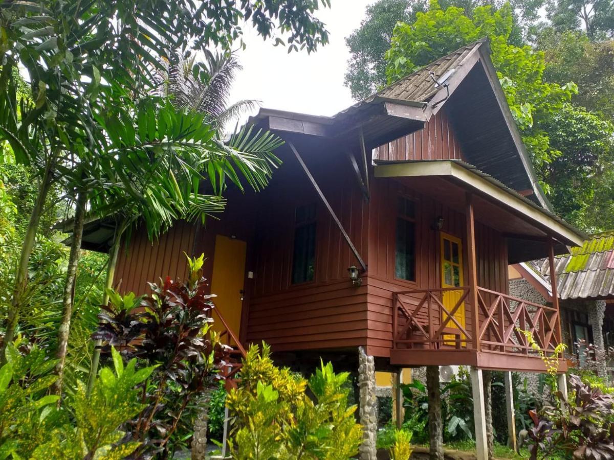 Курортный комплекс Tree Tops River Huts